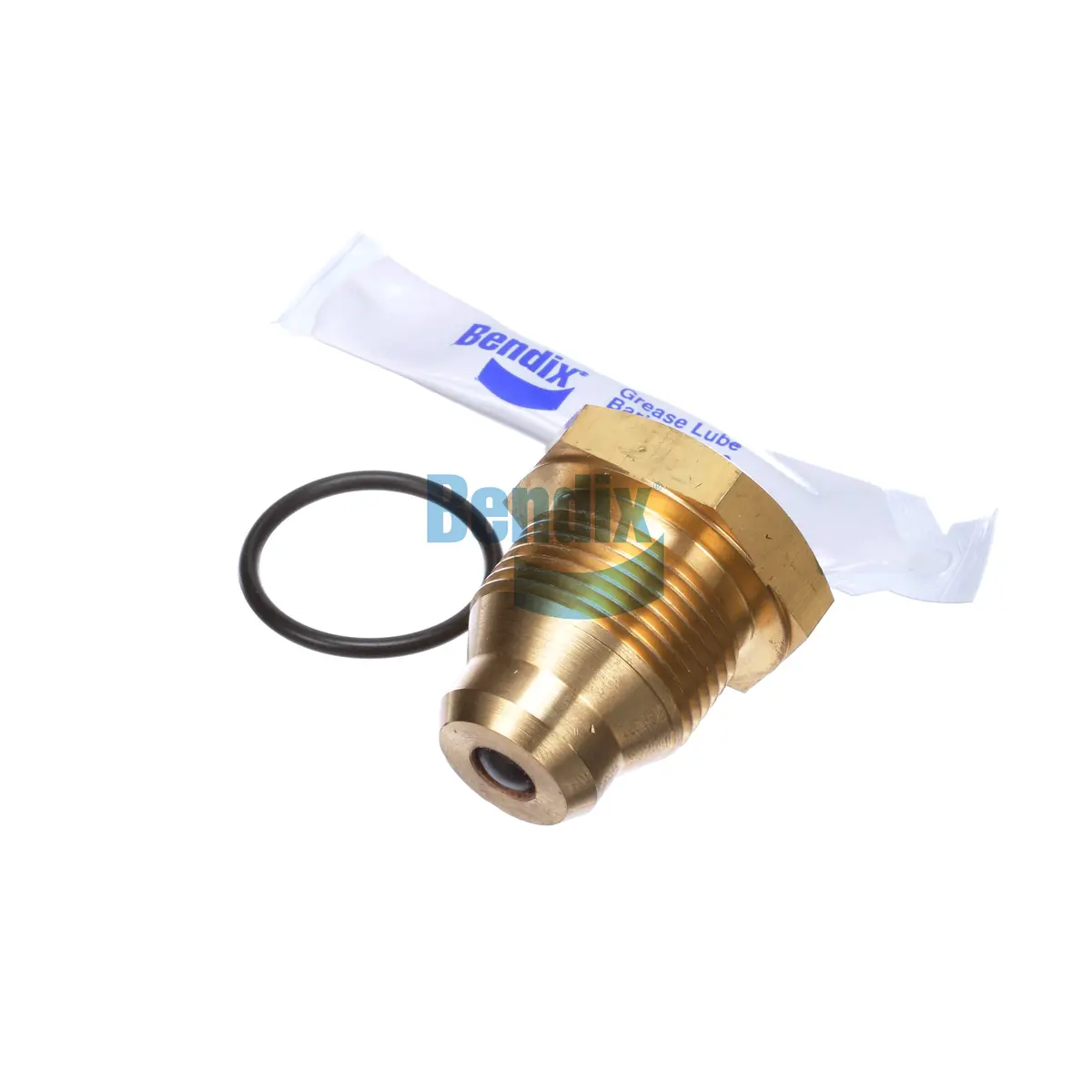 Ad-9 End Cover Check Valve Assembly Replacement | Bendix 107799 1