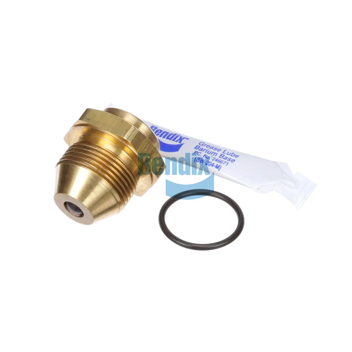 Ad-9 End Cover Check Valve Assembly Replacement, 3/4" Thread Size | Bendix 107800N 1