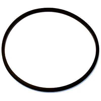 Oil Filter Gasket | 15369 Wix 1