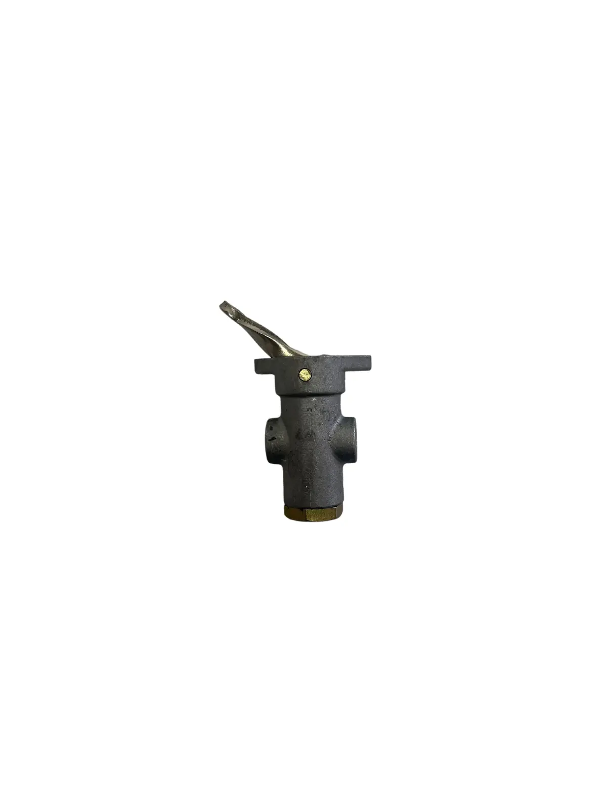 Tw1 Type Control Valve | 170.229635 Automann 1