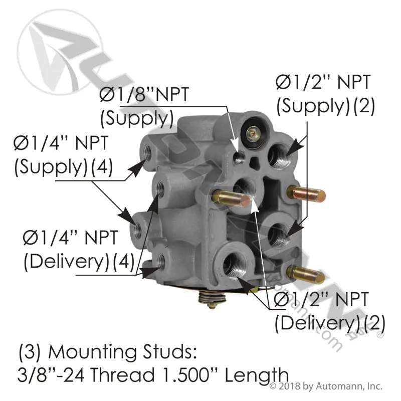 E7 Type Foot Valve | 170.286773 Automann 1