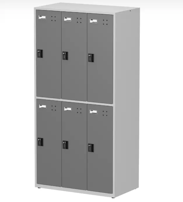 6 Door Locker (Gray) 1