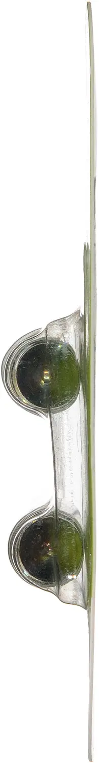 Philips Longerlife Miniature 578Ll 1