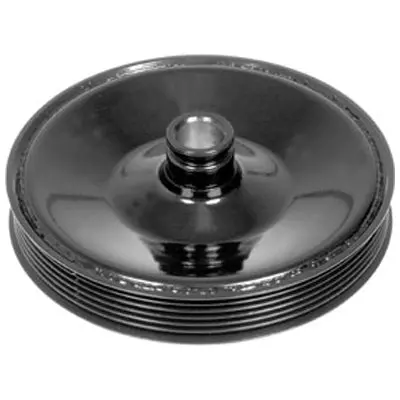 Power Steering Pump Pulley | 300-200 Dorman Products 1