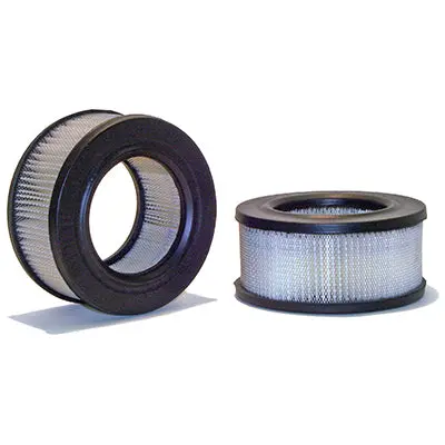 Cellulose Air Filter, 2.865" | 42135 Wix 1