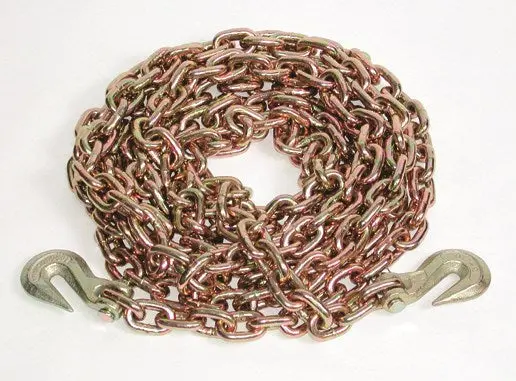 25 Ft Chain Assemby With Clevis Hooks | 45881-10-25 Ancra Cargo 1