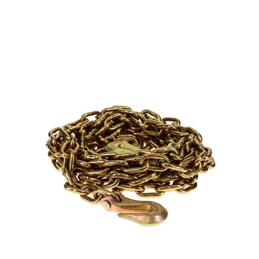 Grade 70 3/8" X 16' Chain Assembly W/ Clevis Hooks | 45881-11-16 Ancra Cargo 1