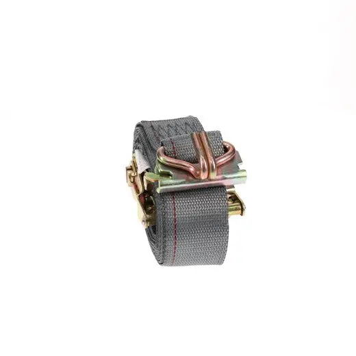 20' Ratchet Strap W/ Wire Hook & Spring Fitting | 48253-15 Ancra Cargo 1