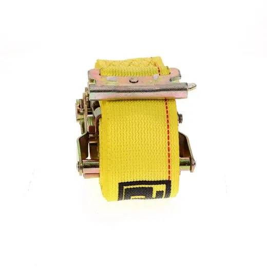 12' E-Series Ratcheting Logistic Strap | 48672-13 Ancra Cargo 1