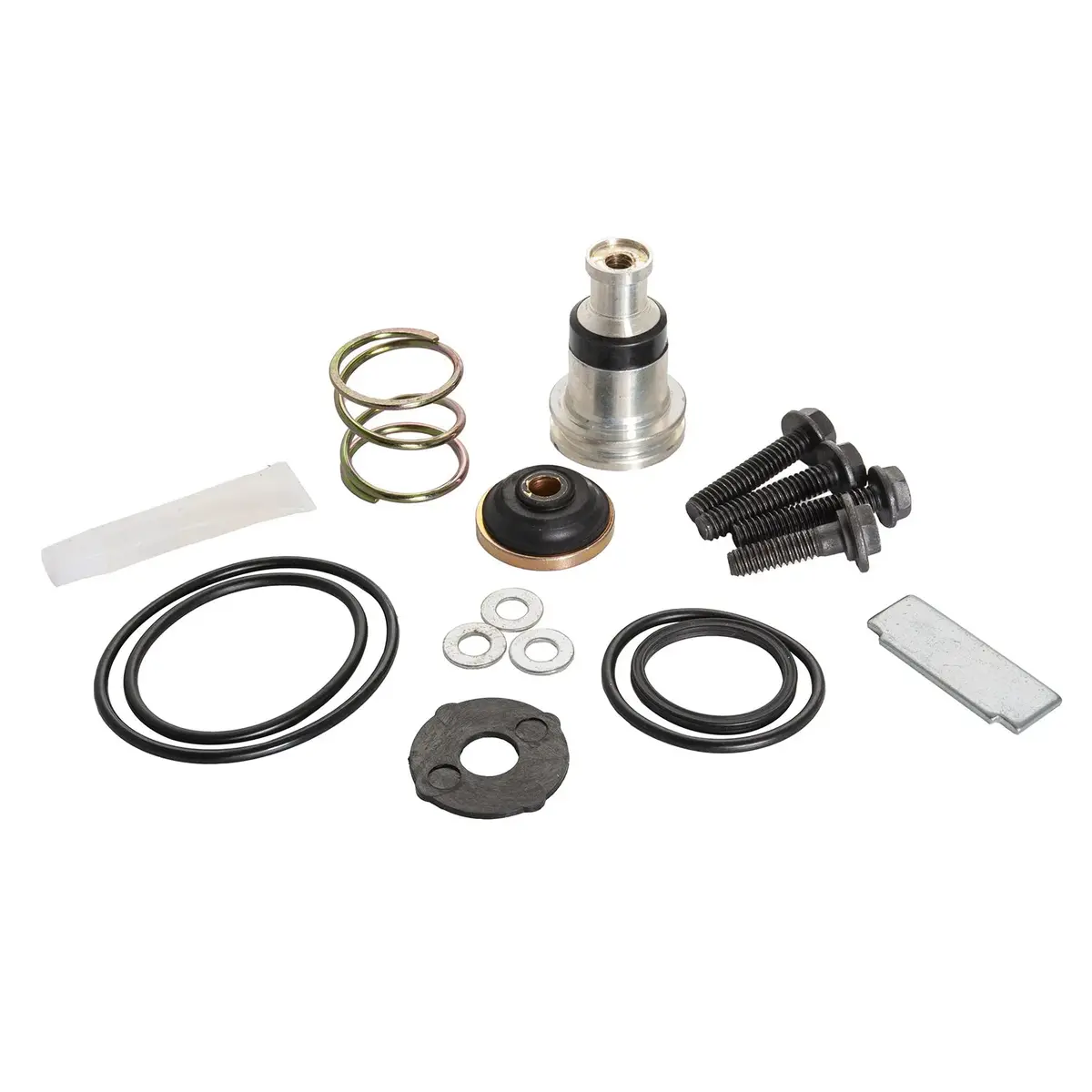 Purge Valve Maintenance Kit | 5005893K Haldex 1