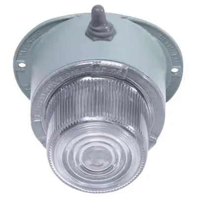 Incandescent Dome Light | 570026 Betts Lighting 1