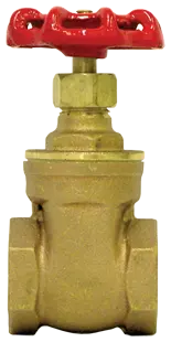 Female To Female Pipe Gate Valve | 2006-12 Tectran 1