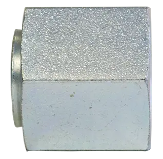 1/2" Fitting O-Ring Style Cap (Pack Of 5) | Tectran 44129-8Wh 1