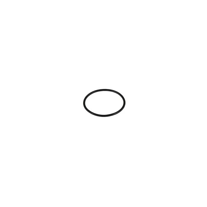 O Ring | 920118 Betts Lighting 1