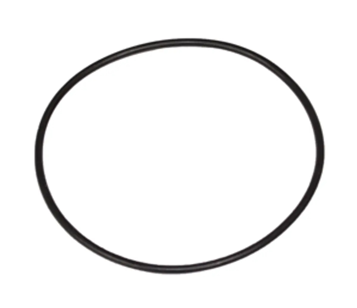 O Ring | 920146 Betts Lighting 1