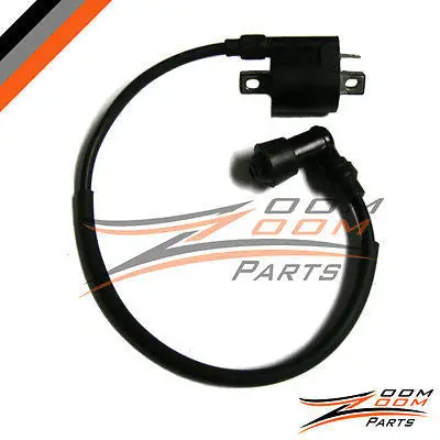 Ignition Coil Chinese Quad Dirt Bike 150Cc 150 Lifan Nw 1
