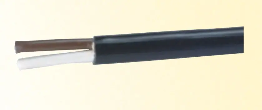 2-Conductor Cable | 9T9302-0100 Betts Lighting 1
